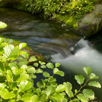 Kurpark in Bad Schandau in der Sächsischen Schweiz