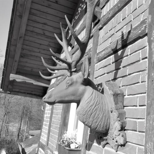 Historische Aufnahme vom Forsthaus Kirnitzschtal