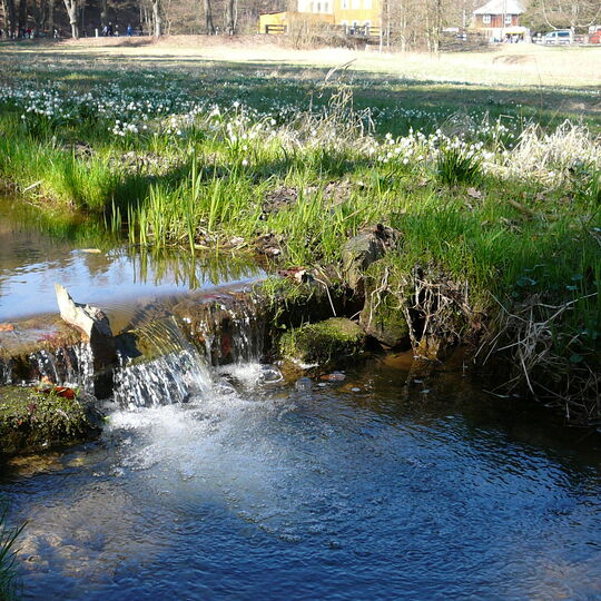 Kirnitzschtal im Frühling