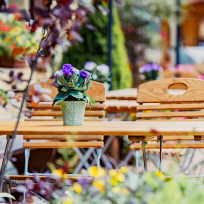 Terrasse in Forsthaus Kirnitzschtal Pura